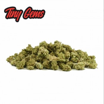 Tiny Gems flores CBD 10gr - Only CBD