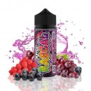 Fruit Blast 100ml - Frumist Puffin Rascal