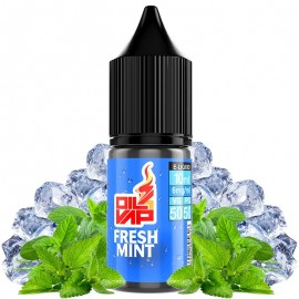 Fresh Mint 10ml - Oil4Vap