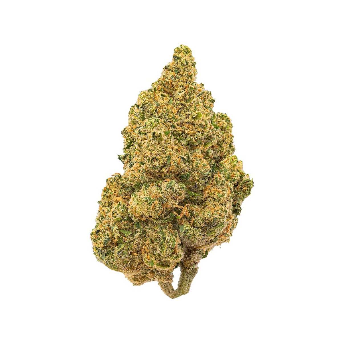 R8 Hidro CBD 5 gramos - Hii CBD